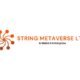 String Metaverse 80x80
